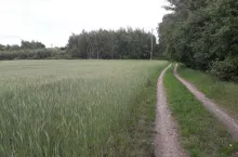 401017
