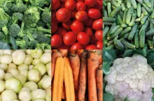 Warzywa dla przetwórstwa