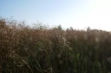 905395