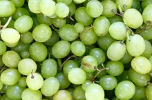 &lt;p&gt;import, eksport, ceny winogrona białego i ciemnego&lt;/p&gt;