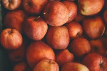 &lt;p&gt;eksport polskich jabłek na rynek azjatycki&lt;/p&gt;