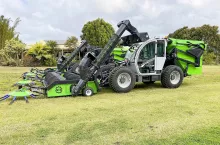 &lt;p&gt;Kombajn Agri-Con do zbioru orzeszków makadamia nabudowany na ładowarce teleskopowej Massey Ferguson.&lt;/p&gt;