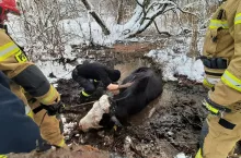 400835