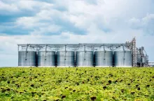 View of sunflower oil plant. Factory for processing oil. Food industrial production.