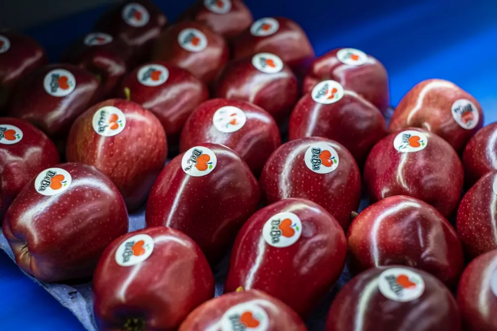 &lt;p&gt;DeBa odmiana jabłka - Demir Fresh Fruits Facebook&lt;/p&gt;