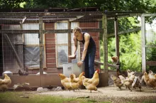 &lt;p&gt;Farmer Feeding Hens&lt;/p&gt;