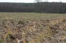 437564