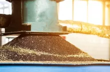 Rzepak produkcja oleju rzepakowego