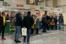 437520