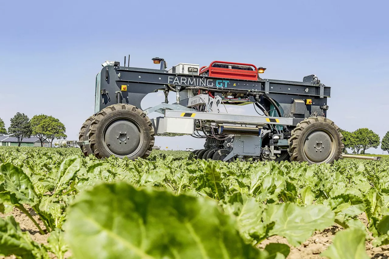 &lt;p&gt;Farming GT od farming revolution autonomicznie pieli buraki zarówno między rzędami, jak i w rzędach.&lt;/p&gt;