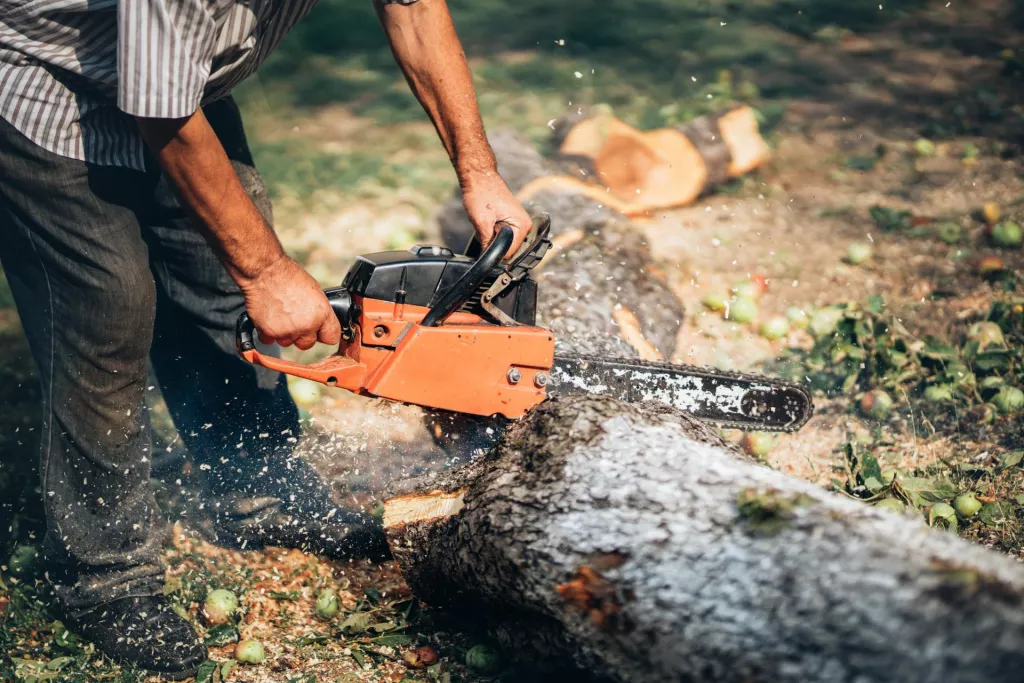 &lt;p&gt;Adult man cutting trees with chainsaw and tools&lt;/p&gt;