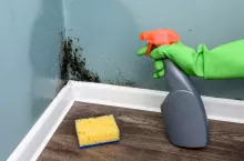 &lt;p&gt;Spray bottle and sponge near black mould wall. House cleaning concept&lt;/p&gt;