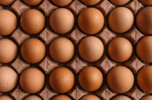Obecny wzrost cen jaj jest wynikową wielu czynników