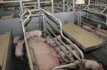 400152
