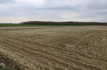 pole gleba ziemia