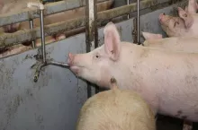 400139