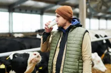 &lt;p&gt;Young male farmer in waistcoat and beanie cap drinking fresh milk in front of camera while standing against cowshed with dairy cattle&lt;/p&gt;