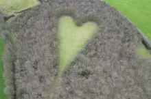 &lt;p&gt;Łąka w kształcie serca&lt;/p&gt;