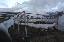 zniszczone warzywa