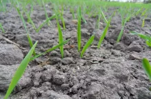 SAMSUNG DIGITAL CAMERA