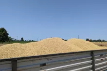 905785