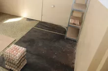 jaja