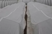 705839