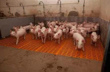 436671