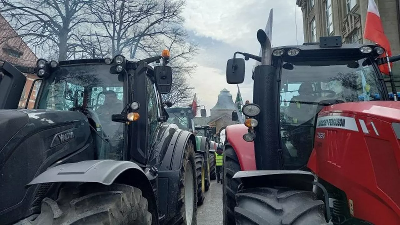 401981