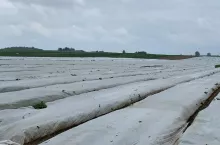 705780
