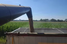 905972