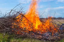 Bonfire at the summer cottage. Flames from dry burning branches on the field, debris destruction. Danger of handling fire.