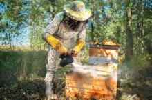 &lt;p&gt;Dofinansowania dla pszczelarzy&lt;/p&gt;
