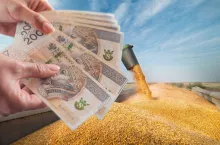 Będą dopłaty do innych zbóż i rzepaku