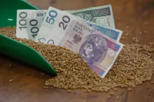 Rolnicy, którzy sprzedali zboże przed 15 kwietnia dostaną 4 razy niższe dopłaty