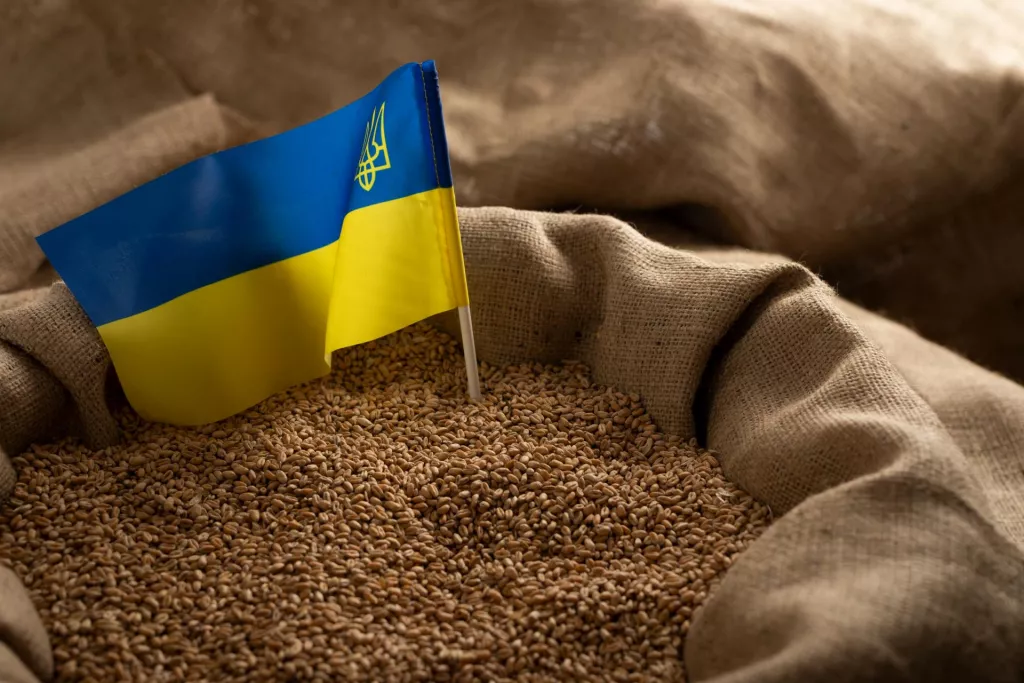 Wojewoda ujawnia 22 firmy importujące zboża z Ukrainy. Zobacz LISTĘ
