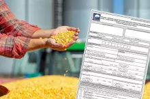 &lt;p&gt;Dopłaty do pszenicy i kukurydzy: ARiMR skraca termin naboru wniosków&lt;/p&gt;