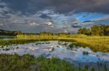 Cloudy sky over beautiful flood plain landscape. River landscape. Beautiful summer landscape with golden sunset. Flood plain of beautiful river.