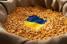 &lt;p&gt;83 proc. zboża z Ukrainy zostało w Polsce&lt;/p&gt;