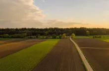 436241