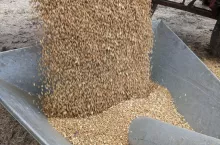 906119