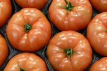 705294