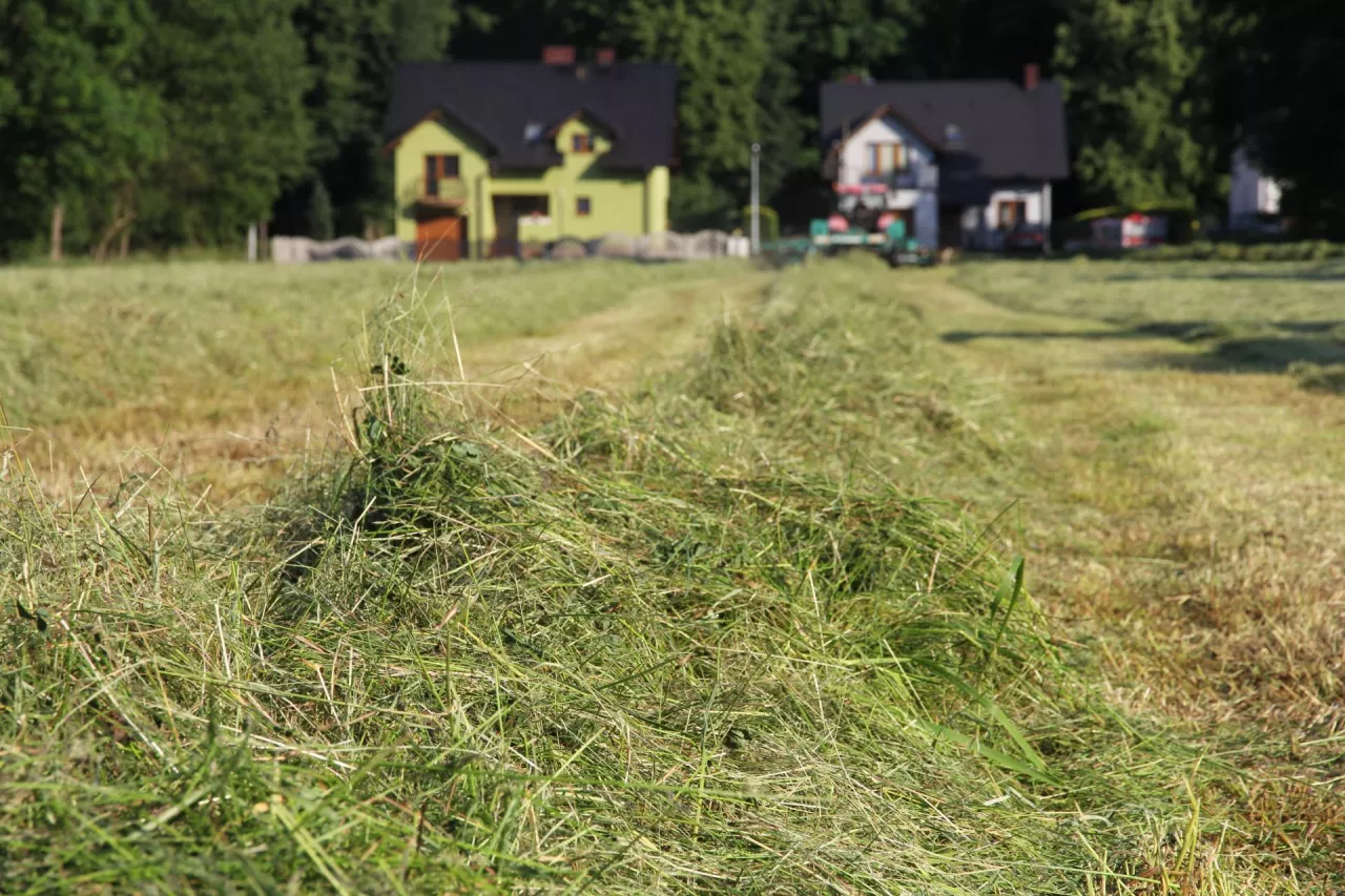 <p>Przekazując gospodarstwo często dyskusja toczy się nt. wartości przejmujących gruntów przez następcę. W wielu przypadkach emocje budzą nieruchomości na potencjalnych terenach budowlanych.</p>