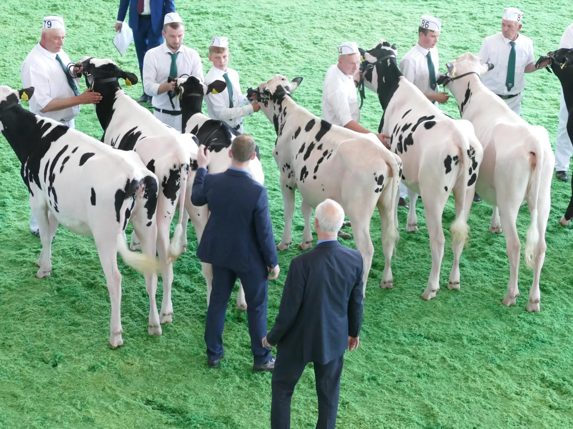 Zobacz pełną LISTĘ czempionów Narodowej Wystawy Zwierząt Hodowlanych 2023