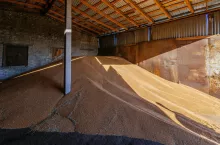 Wheat grain storage in the small warehouse