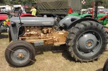 Poszukiwany przez kolekcjonerów Ferguson Gold z 1956 roku to mechanicznie ten sam traktor co FE-35. Jednakże jego silnik i obudowę przekładni pokrywał złoty lakier. Zdarza się, że w niektórych egzemplarzach pod szarą farbą znajdziemy taką malaturę.