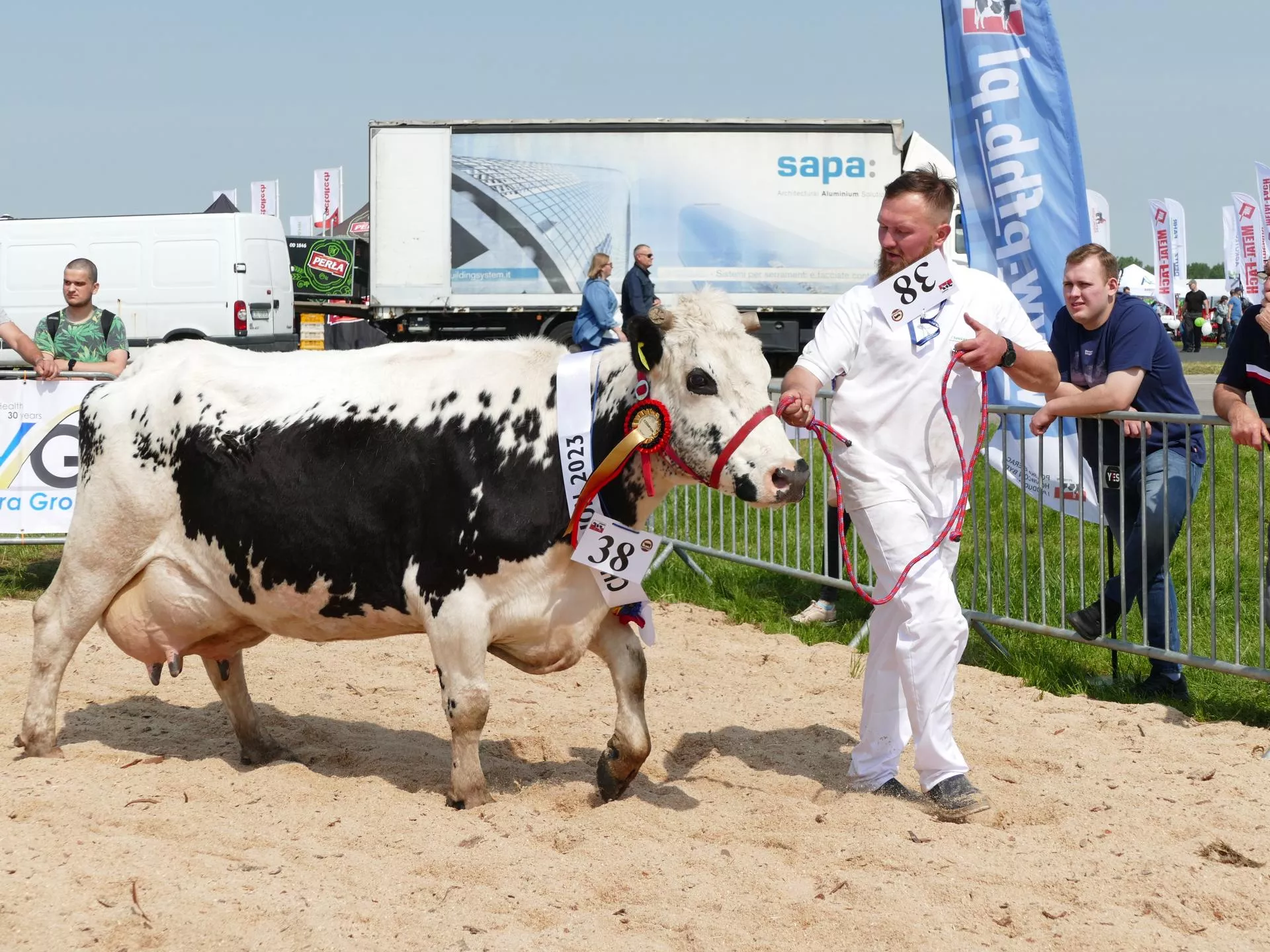 Najpiękniejsze krowy białogrzbiete nagrodzone podczas Zielonego Agro Show w Ułężu