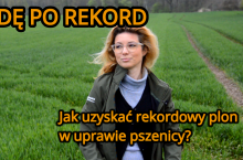 Fot. Katarzyna Szulc