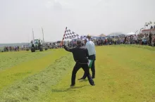 436003