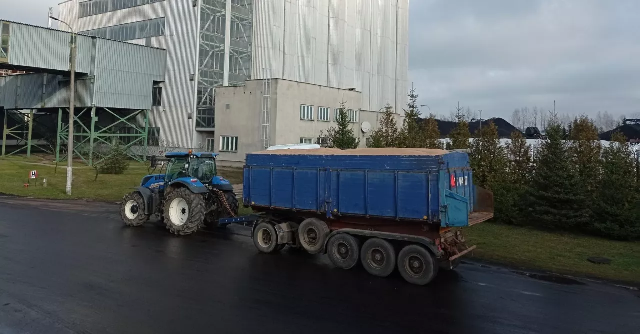 <p>Będzie pomoc dla punktów skupu zbóż</p>